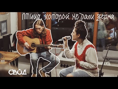 Видео: Васса Железнова — Птица, которой не дали зерна (Acoustic Live) Tbilisi