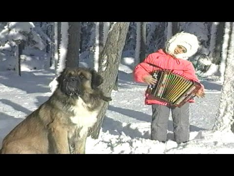 Видео: Новый 1994 год. Кадры из прошлого