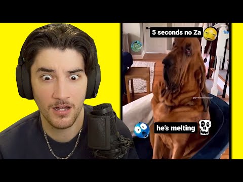 Видео: Безумные мемы