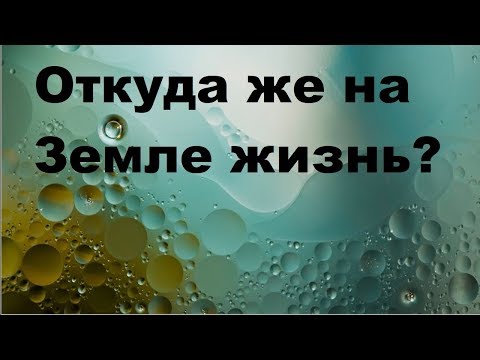 Видео: Откуда же на Земле жизнь?