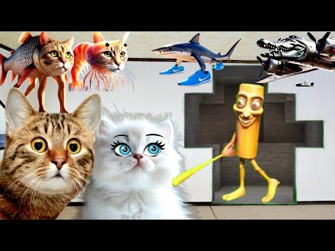 Видео: ТУНГ ТУНГ ТУНГ САХУР в нашем доме! В РЕАЛЬНОЙ ЖИЗНИ