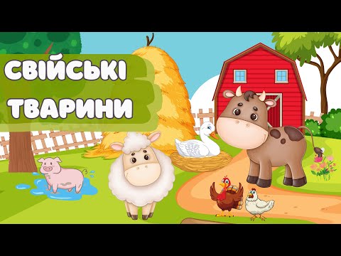 Видео: Свійські тварини | Відео для дітей про домашніх тварин
