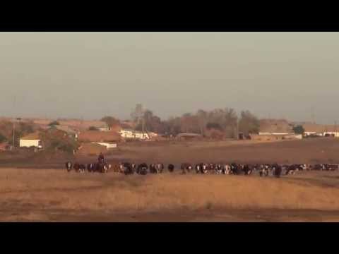 Видео: Поповка ---   г  Атбасар