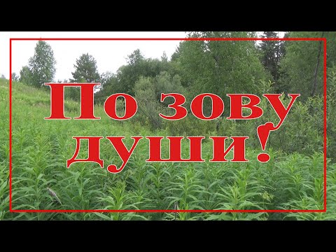 Видео: По зову души!