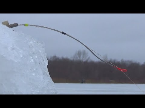 Видео: Рыбалка 25 ЯНВАРЯ, На что Ловится! Зимняя Рыбалка на Оке 2025!