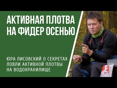 Видео: Ловля активной плотвы фидером осенью на водохранилище