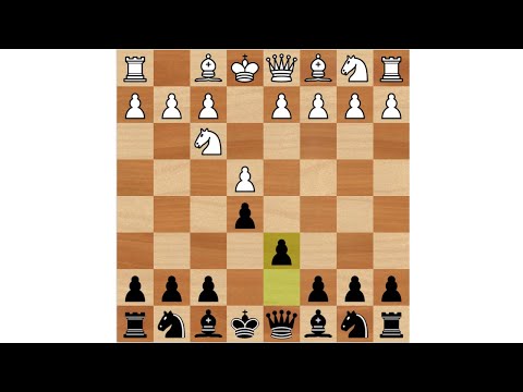 Видео: Дебютные ловушки в шахматах. Защита Филидора