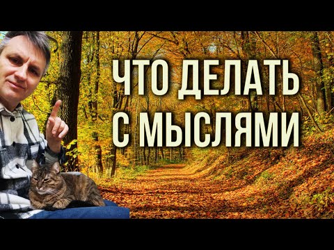 Видео: Почему мысли мешают медитировать и практиковать атма вичару