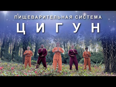 Видео: ЦИГУН: Оздоравливаем Пищеварительную Систему