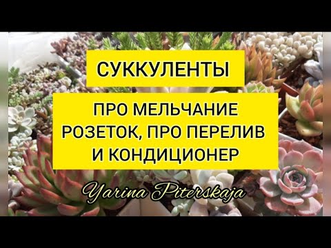 Видео: Про мельчание розеток, перелив и кондиционер.