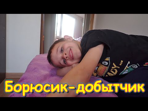 Видео: Одни дома. Животные. Боря-добытчик. (11.24г.) Семья Бровченко.