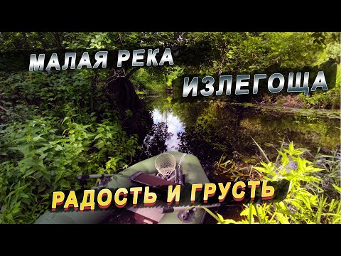 Видео: Новые места / река Излегоща / озеро Черное
