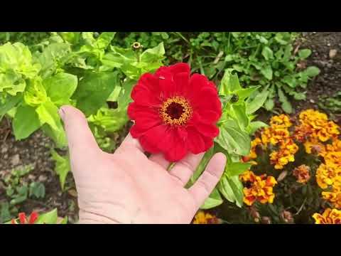 Видео: 10,11 ноября 2025г.Строю дом. Два дня для души)