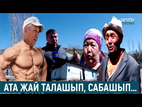 Видео: АТА ЖАЙ ТАЛАШЫП, САБАШЫП…