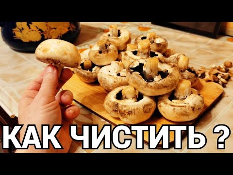 Видео: Как почистить свежие грибы шампиньоны для жарки ?