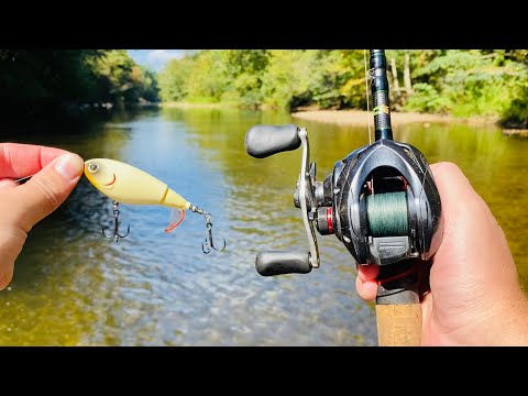 Видео: Мой ЛУЧШИЙ день на воде в этом ГОДУ?!?