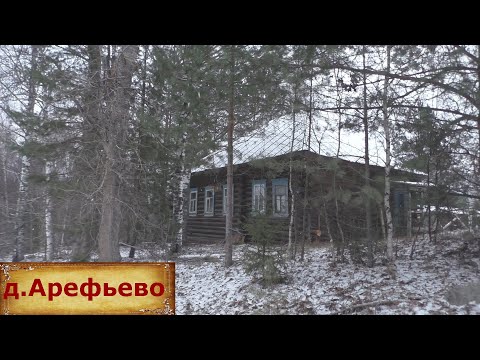 Видео: Заброшенная деревня на севере Нижегородской области. Люди ушли из деревни навсегда?