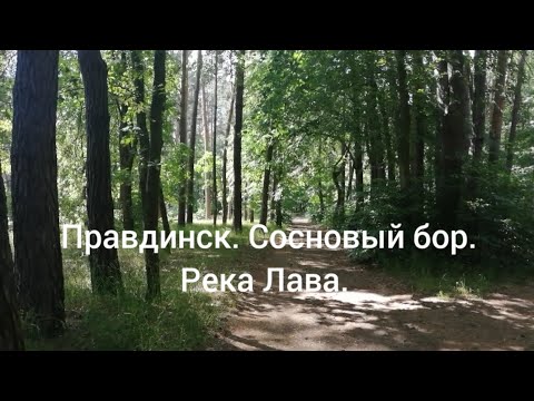 Видео: Правдинск. Сосновый бор. Река Лава.