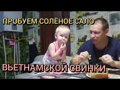 Видео: Пробуем сало нашей вьетнамской свинки. Дела хозяйские. И снова снег.