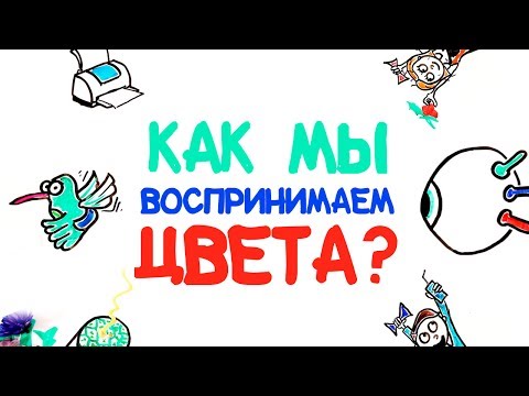 Видео: Как мы воспринимаем цвета? [AsapSCIENCE]