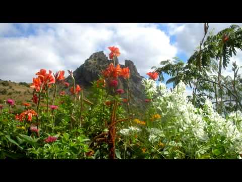 Видео: Альфия Шевченко "Яран гөл".  Герань