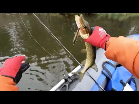 Видео: Мелочь но приятно! Рыбалка на СПИННИНГ осенью с ЛОДКИ! Ловля ЩУКИ на ВОБЛЕРЫ!