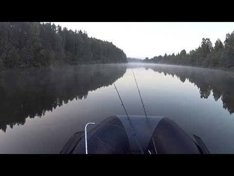 Видео: РЫБАЛКА НА СПИННИНГ. РЕКА ЯЙВА