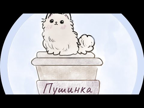 Видео: Я предприниматель. Котокафе "Пушинка"