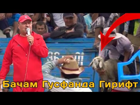 Видео: Бачи Эшони Хамза Мехмона Зад Гусфанда Гирифт