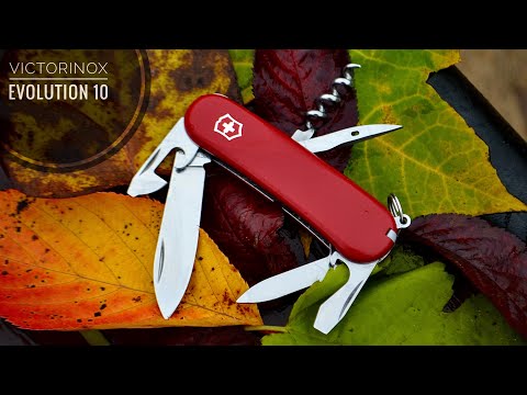 Видео: Victorinox Evolution 10 история одного ножа