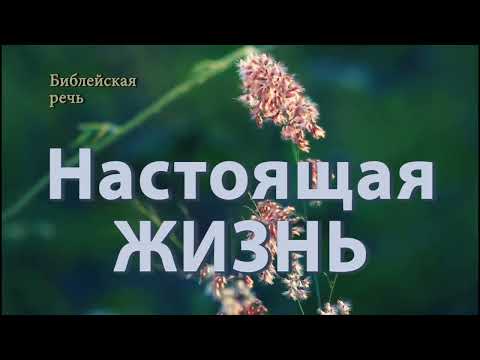 Видео: Что требуется от нас, чтобы жить вечно?