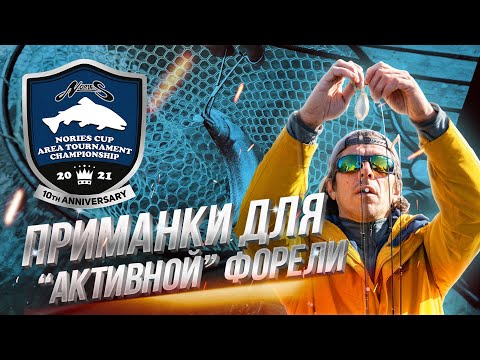 Видео: Начало турнира Nories Cup Area Tournament Championship 2021. Новый КОНКУРС!