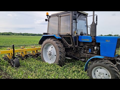 Видео: Мотижу кукурудзу МТЗ 82 І КРН GENERAL👍👍👍