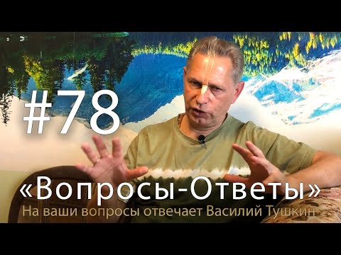 Видео: "Вопросы-Ответы", Выпуск #78 - Василий Тушкин отвечает на ваши вопросы