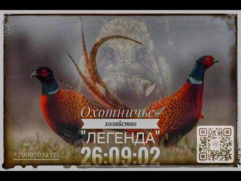 Видео: Новая ЛЕГЕНДА