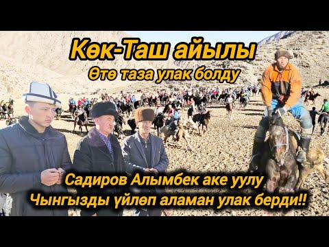 Видео: Садиров Алымбек аке уулу Чынгызды үйлөп аламан улак берди өтө таза улак болду!!1-бөлүм