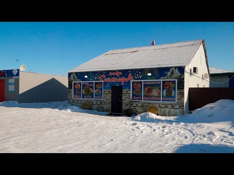 Видео: Шашлык с душком