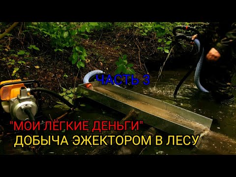 Видео: "МОИ ЛЁГКИЕ ДЕНЬГИ" ДОБЫЧА ЭЖЕКТОРОМ В ЛЕСУ.... ЧАСТЬ 3