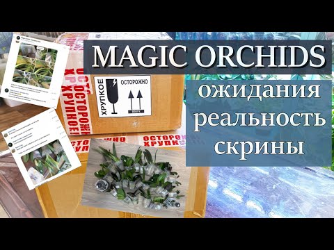 Видео: Посылка от Magic Orchids. Что Могло ПОЙТИ НЕ ТАК?