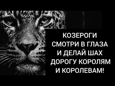 Видео: Козероги ⛓️ Твой ход - ход короля и королевы! ⚔️