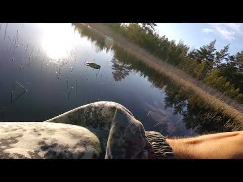 Видео: фильм новичиха