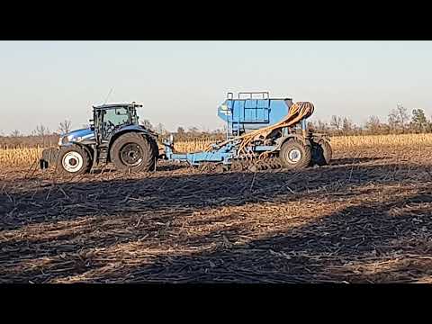 Видео: зимуючий горох