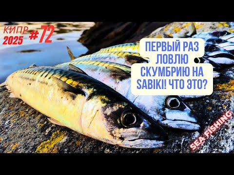 Видео: Рыбалка на Кипре.Первый раз ловлю скумбрию на sabiki, что это? Часть - 72.Сезон 2025