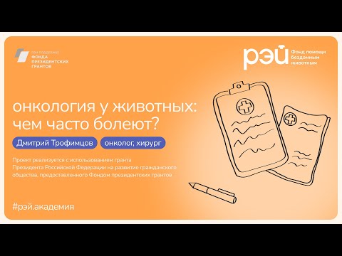 Видео: Онкология у животных: чем часто болеют?