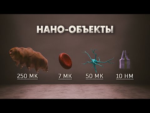 Видео: Путешествие в заквантовый мир. Визуализация субатомных частиц, вирусов, и молекул