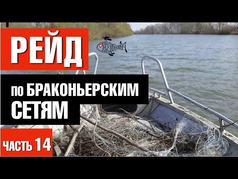 Видео: Молдавские браконьеры Днестра / Рейд по браконьерским сетям. Часть 14.