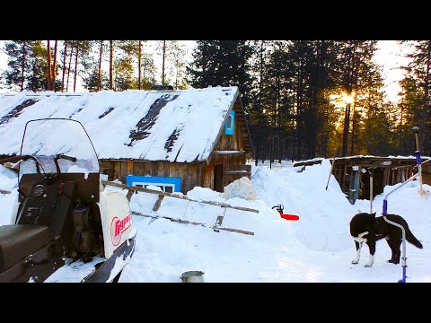 Видео: Вот так пожить в ТАЙГЕ мечтает каждый \  Подняли телефон в НЕБО чтобы отправить весточку с РЫБАЛКИ