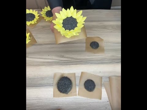 Видео: МК Ольги Зарубиной🌻Подсолнухи из Зефира🌻🌻Zefir sunflowers