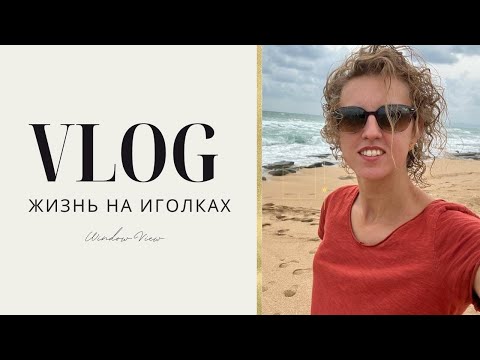 Видео: VLOG: Жизнь на иголках. Израиль