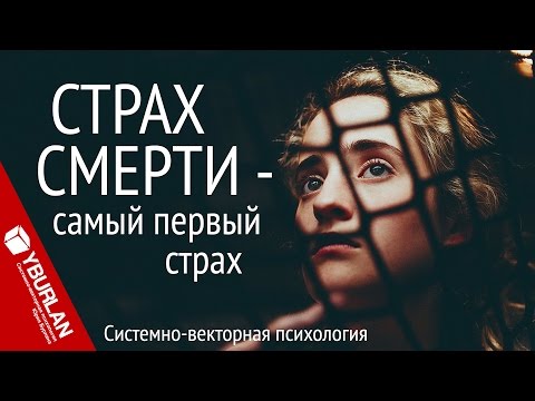 Видео: Самый первый страх. Системно-векторная психология. Юрий Бурлан